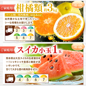 【 定期便 6回 】 2ヵ月毎にお届け！プチっと 堪能 ！ 人気 フルーツ |（ いちご 白いちご みかん 不知火 スイカ ぶどう 梨 柿 果物 ） | フルーツ定期 フルーツ定期便 定期便 果物 フルーツ 熊本県 玉名市