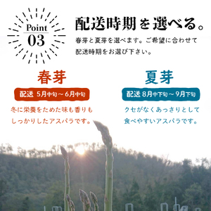 《 先行予約 》【 令和8年産 夏芽 】アスパラガス 1kg 1箱〔 発送 ： 2026年7月中下旬 ～ 9月下旬頃 まで 〕 朝採り 有機質肥料栽培