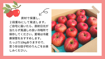 【訳あり】青森りんご田子の家庭用サンふじ 約10kg （12月出荷）