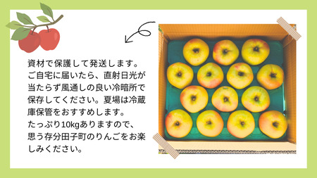 【訳あり】青森りんご田子の家庭用ぐんま名月 約5kg （11月出荷）