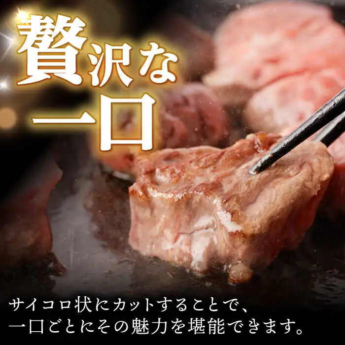 【12回定期便】 【一口で広がる贅沢な旨味！】長崎和牛 A5 ヒレサイコロステーキ 400g / ヒレ ひれ ヒレステーキ ステーキ すてーき サイコロステーキ / 諫早市 / 野中精肉店 [AHCW108]