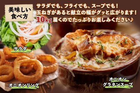 《期間限定》北海道 士幌産 たまねぎ 玉ねぎ タマネギ 玉ネギ 玉葱 10kg (2026年12月発送予定)  採れたて オニオン 旬の野菜 期間限定 新鮮 野菜 産地直送 産直 お取り寄せ 送料無料 十勝 士幌町 【V07】
