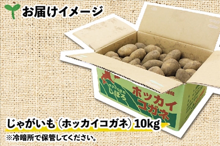 【10月より順次発送予定】北海道 じゃがいも ホッカイコガネ 10kg 北海道産 十勝産 北海こがね 北海コガネ 北海黄金 ジャガイモ 芋 いも ポテト お取り寄せ まとめ買い 送料無料 十勝 士幌町【V06】