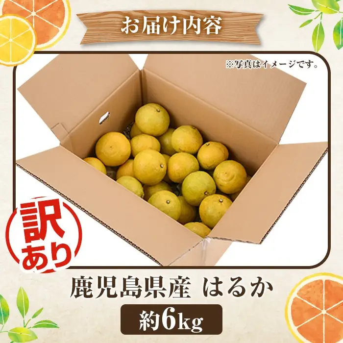 ＜先行予約受付中！2027年2月上旬以降順次発送予定＞訳ありはるか(約6kg) 国産 鹿児島県産 果物 フルーツ 柑橘 みかん はるか【松永青果】akn053-40