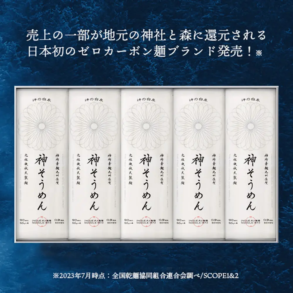 神の白糸「神そうめん」10袋入(H057134)