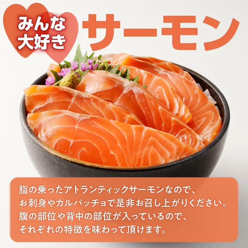 アトランティックサーモン 1kg K008-009 魚 冷凍