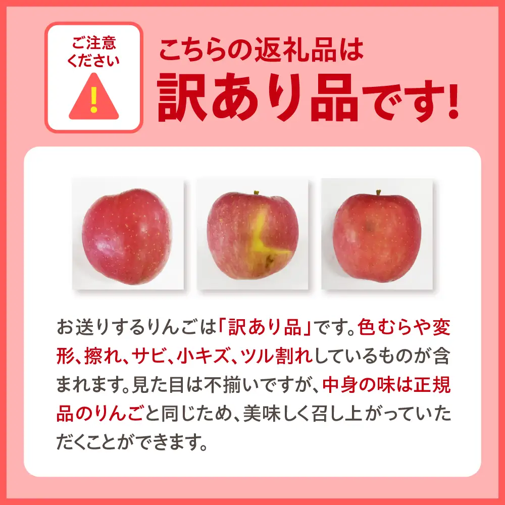【10月後半以降順次発送】 りんご 約10kg 訳あり サンジョナゴールド 青森県産 りんご