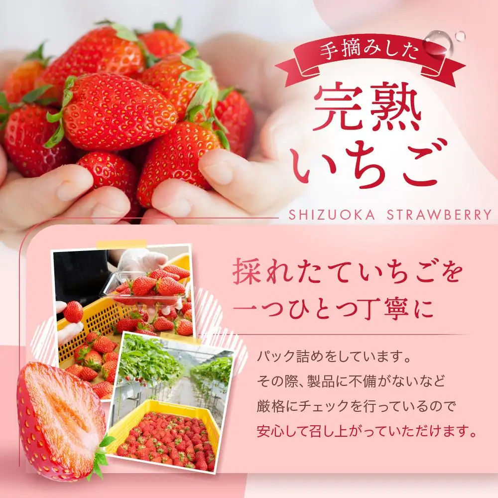 【2027年 先行予約】 農家直送！甘くて大好評　静岡いちご　DX　高糖度　1100g 程度（270～280g×4パック）甘くて地元大人気！やみつきリピーター多数　御前崎産　数量限定