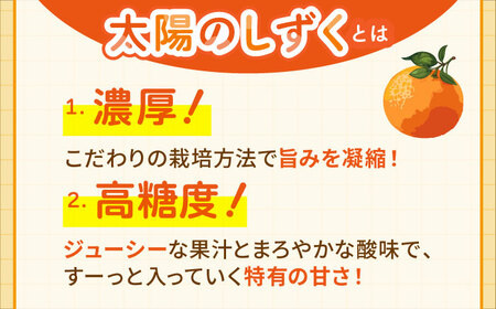 食べくらべ定期（太陽のしずく・今村温州みかん）[HCE003] みかん 果物