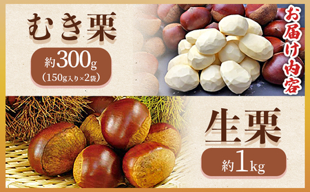 【先行予約】＜栗尽くしセット（むき栗150g×2袋・生栗1kg）愛媛県西予市産＞ くり 生栗 剥き栗 フルーツ マロン モンブラン 家庭用 栗ご飯 栗きんとん 栗の甘露煮 秋の味覚 特産品 国産 宇都宮物産 愛媛県 西予市【冷蔵】『2026年9月中旬～10月下旬迄に順次出荷予定』UUB0051