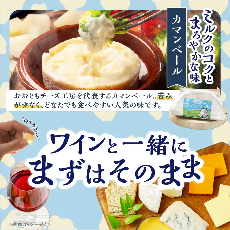 《人気No1》手造りチーズセット チーズ_H0003-102
