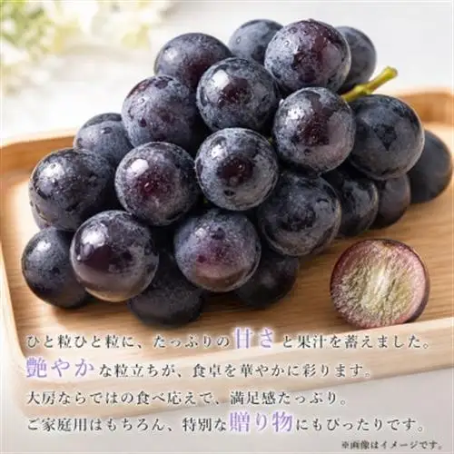 紀州和歌山産の巨峰ぶどう約2kg(5～7房)【配送不可地域：離島・北海道・沖縄県】【1527876】