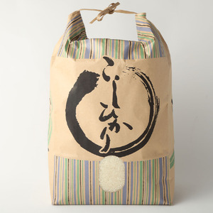 【先行予約】令和6年産 新米 コシヒカリ精米15kg（5kg×3袋） 【R01184】