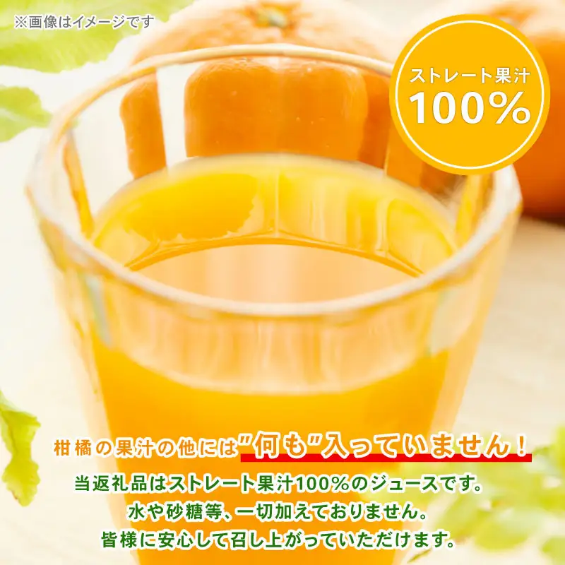 みかんジュース 720ml × 2本 宇和島農産 温州みかん 温州蜜柑 みかん mikan ストレート オレンジ 果汁100％ ストレートジュース 果物 くだもの フルーツ ギフト プレゼント 国産 愛媛 宇和島 H010-132006