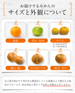 訳あり 温州みかん 約3kg 後藤農園