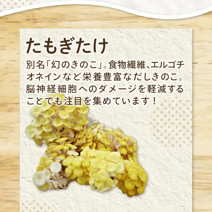 オーガニック菌床たもぎたけ6パック【タモギ茸 きのこ たもぎ茸 キノコ セット 茸 詰め合わせ たもぎたけ タモギタケ エルゴチオネイン だし 出汁】