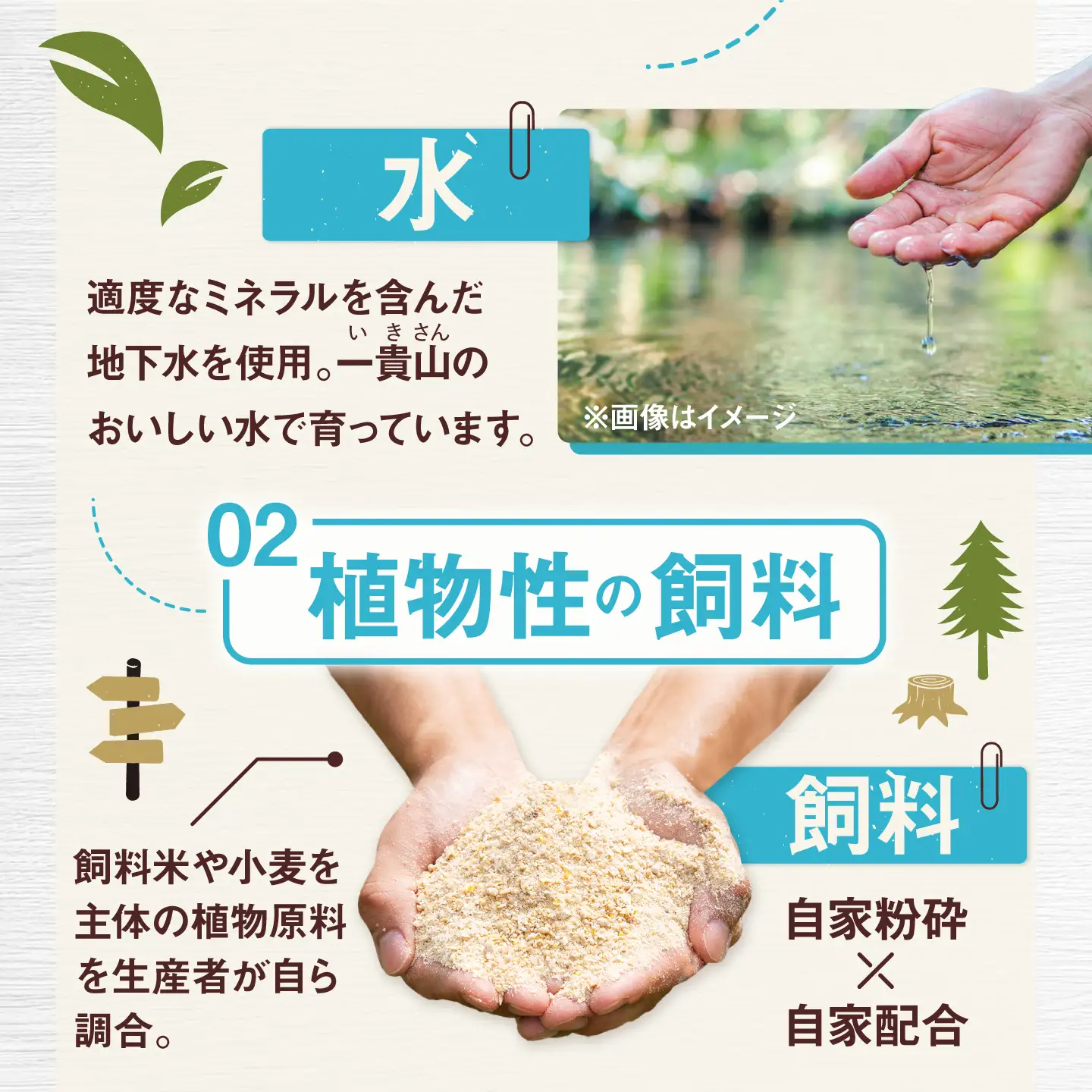 一貴山豚 しゃぶしゃぶ 食べ比べセット スライス3種1.5kg 糸島市 / いきさん牧場 豚肉 セット [AGB063]
