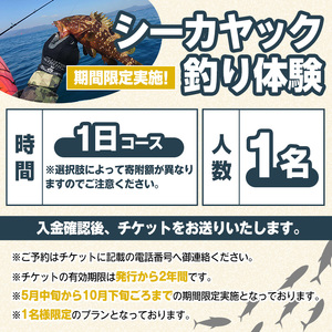 期間限定実施『パズル』オリジナル！シーカヤック釣り体験チケット(1日/1名) 阿久根 釣り シーカヤック アウトドア アクティビティ 自然 体験 ツアー チケット 海 マリンスポーツ 魚【パズル】akn098-09