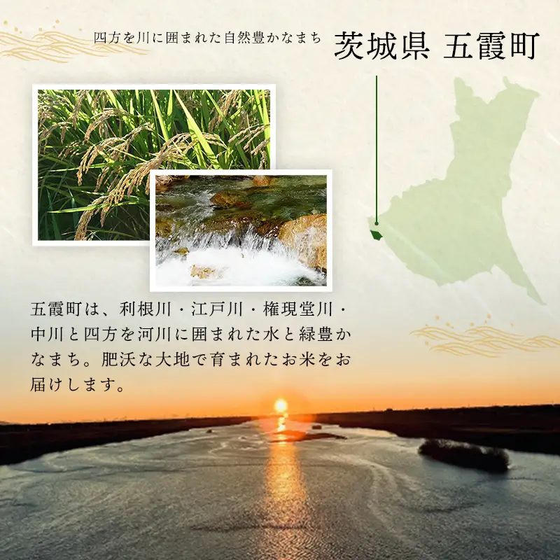 令和7年産 こしひかり あきたこまち (5kg×1袋ずつ) 計10kg 食べ比べ 中山産業 【価格変更AB】
