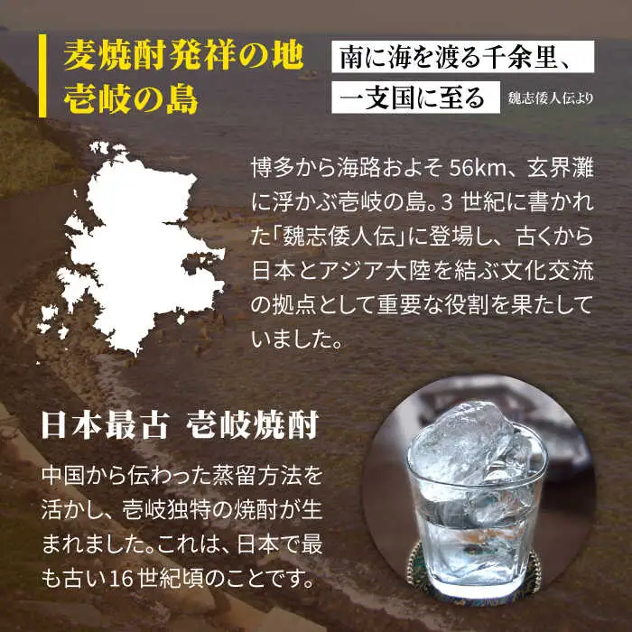 【全2回定期便】 麦焼酎 壱岐 20度 1800ml 紙パック 6本《壱岐市》【天下御免】 むぎ焼酎 酒 お酒 焼酎 麦 パック [JDB381]