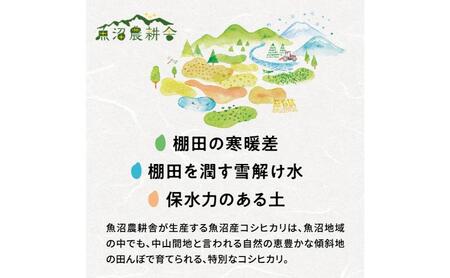 【令和8年産　新米先行受付】米農家自慢の 魚沼産 コシヒカリ（精米）10kg（5kg×2袋）白米 お米 こめ コメ 魚沼産コシヒカリ こしひかり 魚沼