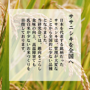 ササニシキ 精米 特別栽培米 恋の舞 秋田県産 ササニシキ【5kg】