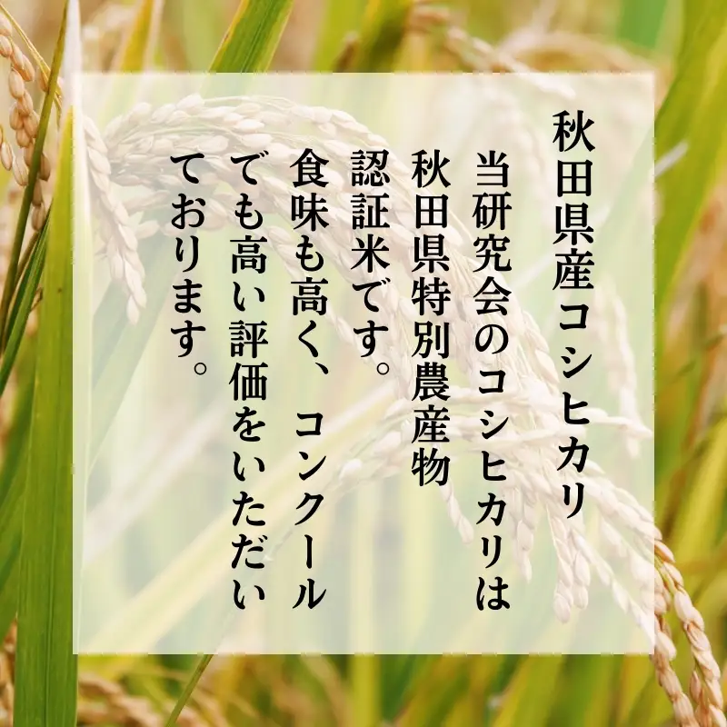 コシヒカリ 精米 特別栽培米 鰰米 秋田県産 コシヒカリ【5kg】