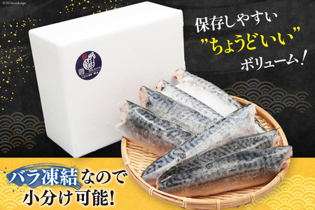 サバ フィレ 切り身 1kg 