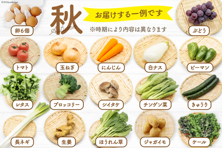 CH113 野菜 フルーツ 定期便6回 旬のおまかせセット 野菜 フルーツ13～14品目 卵6玉 ◎