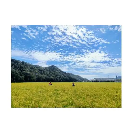 若づる米粉（無農薬の山田錦の米粉）2.7kg[1125]