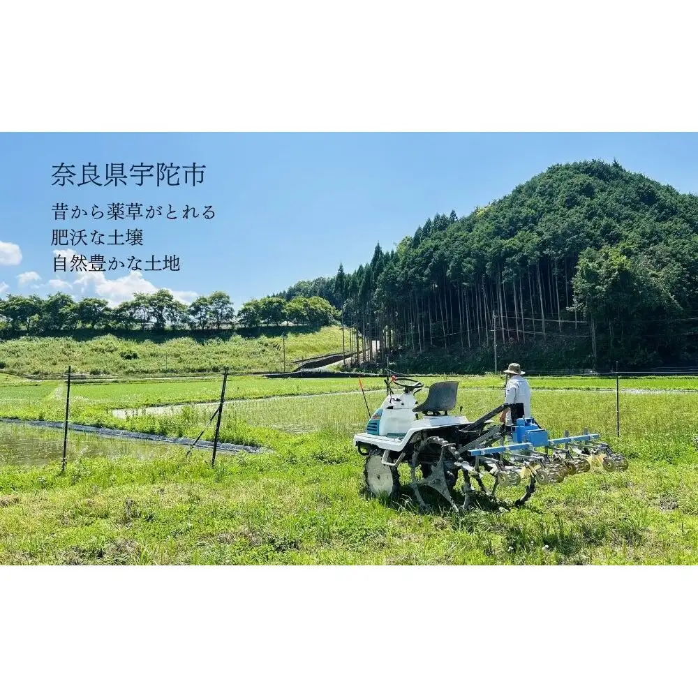 【令和8年産】自然栽培米 2kg｜選べる 玄米・分づき・白米｜単発／ 無農薬 米 お米 一等米 こめ コメ 国産 新米 玄米 農家やまおか 除草剤 肥料不使用 奈良県 宇陀市 ふるさと納税 
