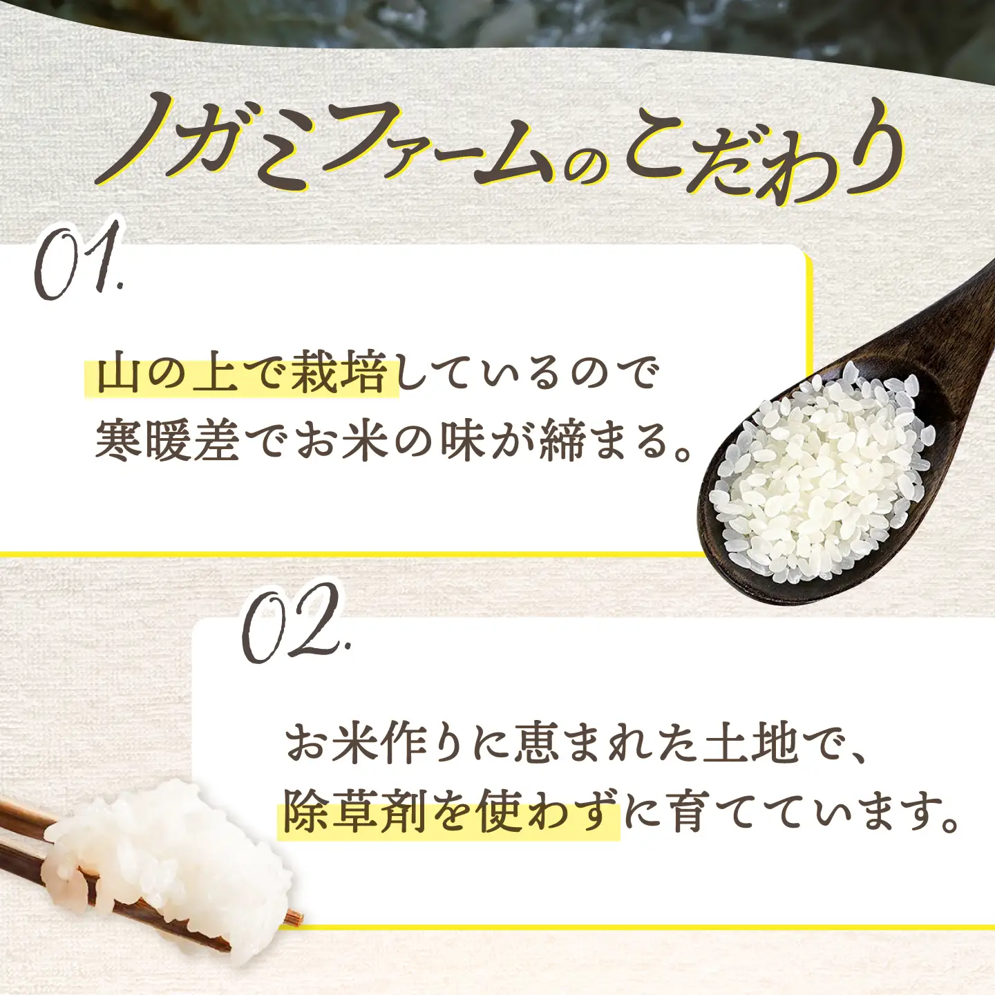 【 令和7年産】弥山岳の岩清水で育ったノガミファームの お米 白米 5kg ▼ 米 お米 白米 5kg 農家 直送 人気 ご飯 桂川町/NOGAMI FARM [ADAU004]