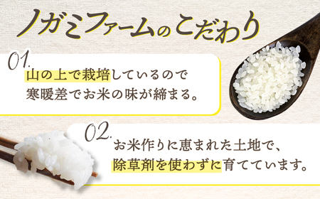 【 令和6年産】弥山岳の岩清水で育ったノガミファームの お米 白米 15kg ( 5kg ×3袋） 桂川町/NOGAMI FARM [ADAU006] 米 白米 お米 コメ こめ 小分け 農家 直送 