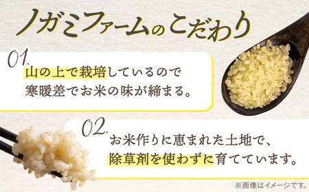 【 令和6年産】弥山岳の岩清水で育ったノガミファームの お米 玄米 2kg ▼ 玄米 米 コメ お米 2kg 農家 直送 桂川町/NOGAMI FARM [ADAU008]