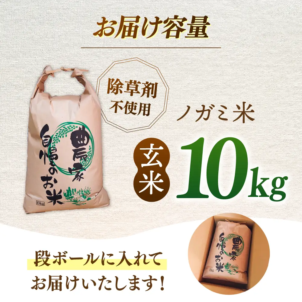 玄米 10kg [ADAU010] 玄米
