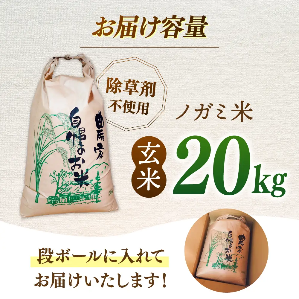玄米 20kg ノガミファーム お米 桂川町/NOGAMI FARM [ADAU012]