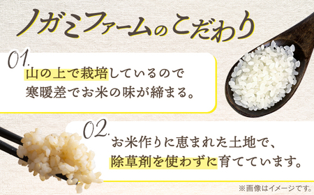 【 令和6年産】弥山岳の岩清水で育ったノガミファームの お米 白米 と 玄米 の 食べ比べ 計4kg （各 2kg ）▼ 米 コメ 玄米 お米 ご飯 白米 農家 直送 桂川町/NOGAMI FARM [ADAU013]