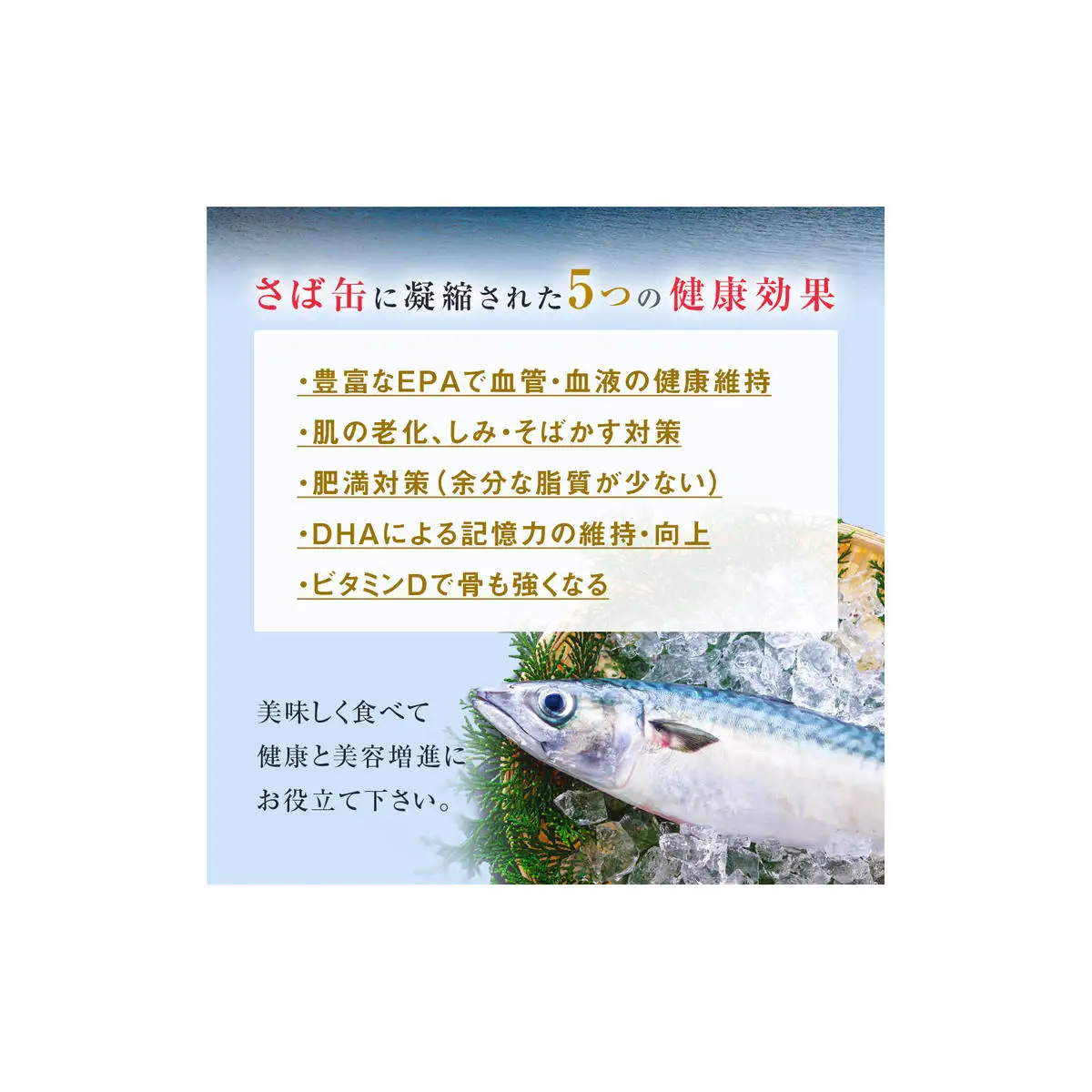 【2月配送】さば缶詰 味噌煮 12缶 サバ缶 鯖 国産 備蓄 保存食