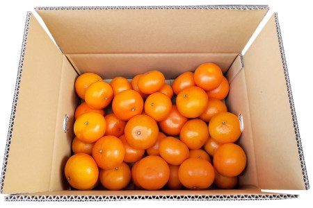 CD021 【令和9年1月中旬から順次発送】森崎果樹園 自慢の 麗紅（れいこう）5kg
