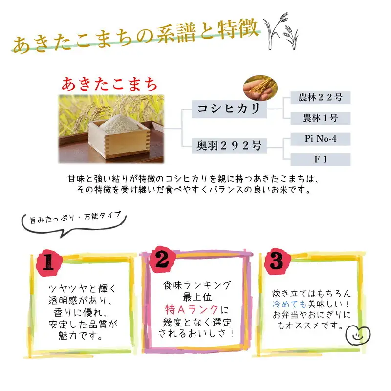 令和7年産 あきたこまち 精米 10kg（5kg×2袋） 秋田県産 お米 米 ごはん ご飯 単一原料米  