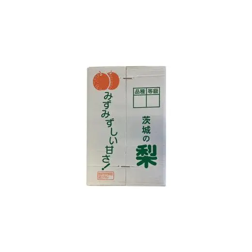【 2026年9月下旬発送開始 】 茨城県産 梨 新高 （約 5kg ） 6～12玉
