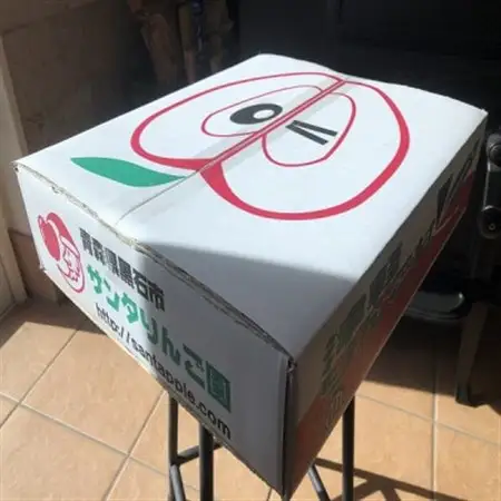 早生ふじ＆トキ　贈答用約5kg　りんご中生種、一押し詰合せ!　10月上旬より発送_果物・フルーツ りんご  リンゴ 林檎_【配送不可地域：離島】【1338678】