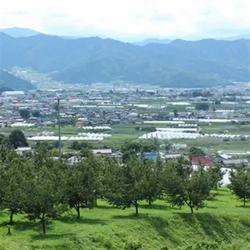 【2027年発送】フルーツ王国　長野県信州直送　ワッサー 約5kg【配送不可地域：離島】【1530503】