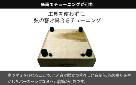 CHAANYカホン「Wildシリーズ」　ロゴデザイン