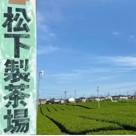 【お茶の国・静岡発】静岡の深蒸し茶1kg(磐田産)_飲料・ドリンク 静岡茶 茶 日本茶_【1528603】