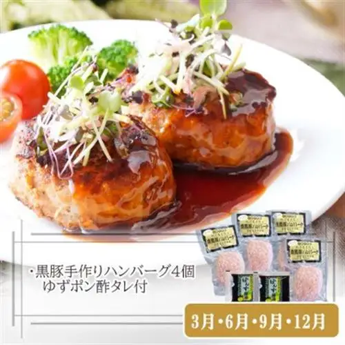 定期便3回配送　お楽しみバラエティー　OO-0004_肉 ハンバーグ 牛肉   肉 黒毛和牛 牛肉   肉  豚肉   肉 ハンバーグ 豚肉   魚介・海産物 マグロ 鮮魚 まぐろ 鮪  魚介・海産物     定期便 定期便  _【配送不可地域：離島】【1528204】
