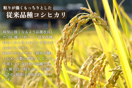 【令和8年産新米先行予約】【定期便6回毎月お届け】新潟県産 コシヒカリ（従来品種）精米4.5kg（1.5kg×3袋）《10月上旬から順次発送》 精米 白米 きのこ農家ならではの有機質肥料 お米 新潟産 コシヒカリ 加茂市 青木農園 米