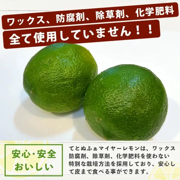 【先行予約】こだわりの青切りマイヤーレモン 約2kg (12～18個) 
