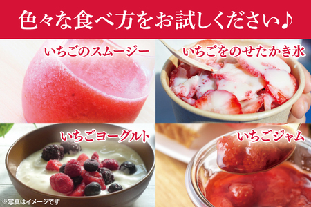 瞬間冷凍完熟いちご 500g×2袋｜いちご イチゴ 苺 冷凍イチゴ 冷凍いちご 冷凍 冷凍フルーツ 完熟 フルーツ 果物 くだもの デザート おやつ スムージー ジャム 数量限定(S-9-1)