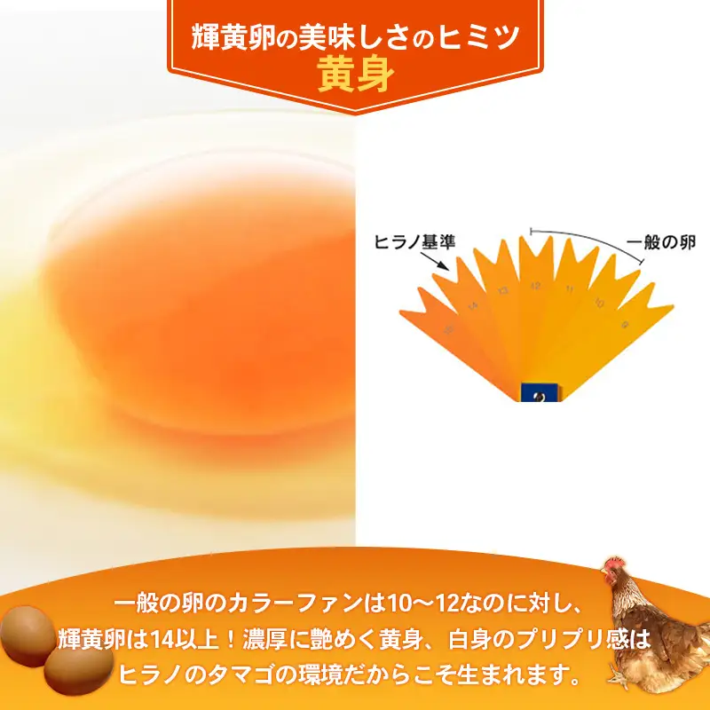 ヒラノのたまご 輝黄卵（きおうらん）72個（6個入り×12パック） 【 卵 たまご タマゴ 国産 新鮮 直送 輝黄卵 きおうらん 朝ごはん 卵かけごはん 福岡県 筑前町 AJ006】